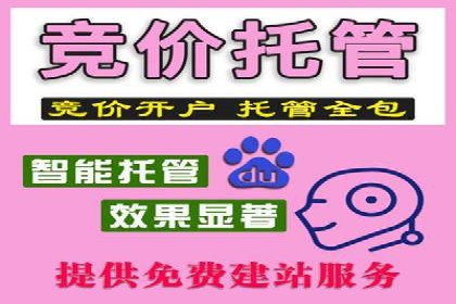 精准营销：百度推广平台的成功案例解析